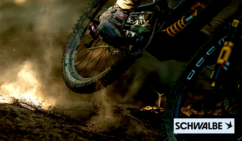 SCHWALBE_IMAGENES_11