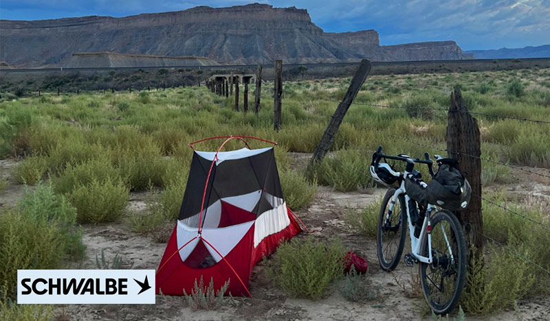 SCHWALBE_IMAGENES_3
